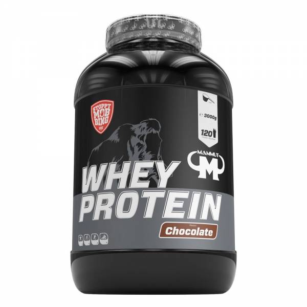 Whey Protein Chocolate 3000g